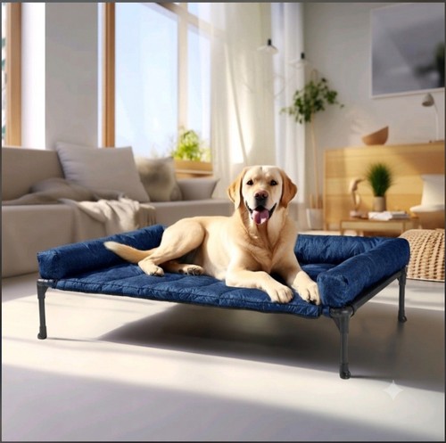 Veehoo raised dog - raised, large