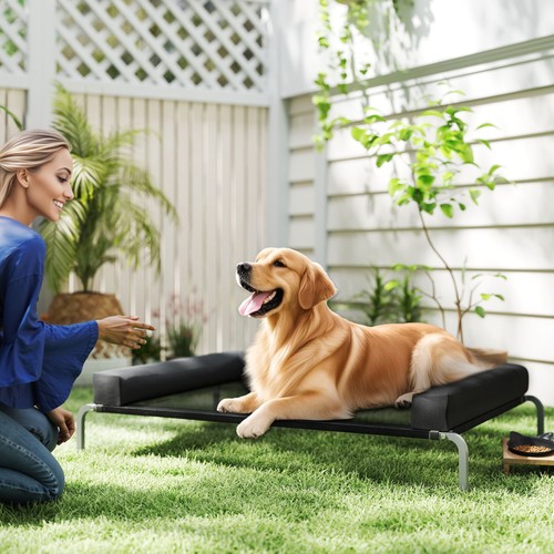 Elevated dog bed with - elevated,
