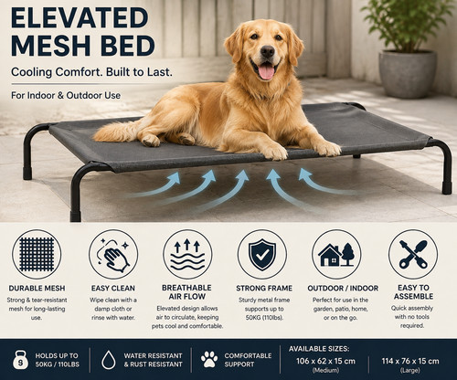 Elevated dog bed - elevated, raised