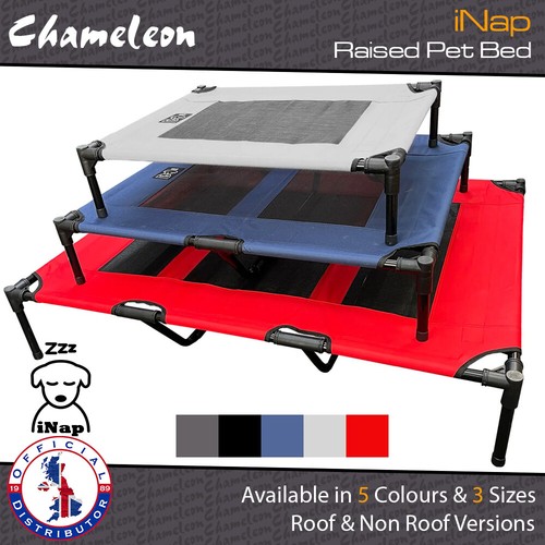 Premium elevated dog bed - elevated,