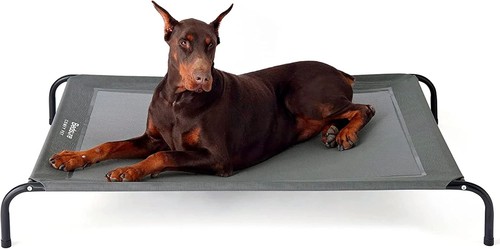 Raised dog bed large - dog,