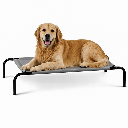 Elevated pet bed raised - pet,