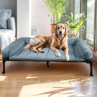 Extra large raised elevated - large,