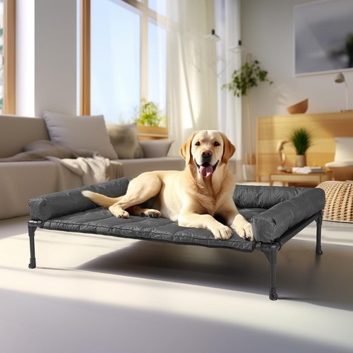 Veehoo raised dog bed - dog,