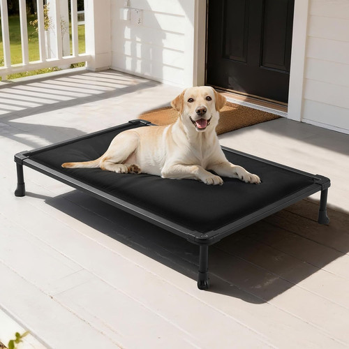 Large indestructible raised - large,