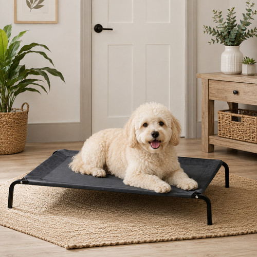 Bunty raised dog bed - raised, medium