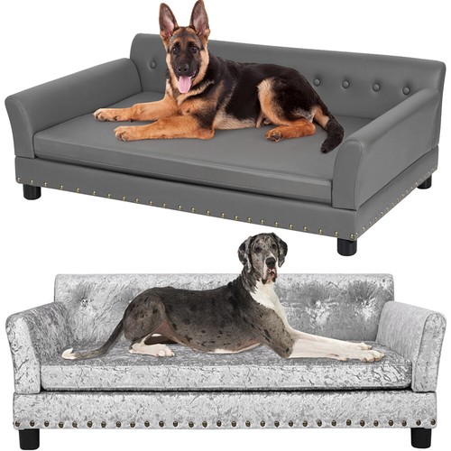 Extra large elevated dog - elevated,