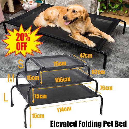 Elevated dog puppy - dog,