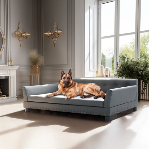 Bingopaw large dog sofa bed - large,
