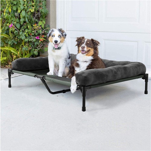 Elevated pet cot raised - raised, dog