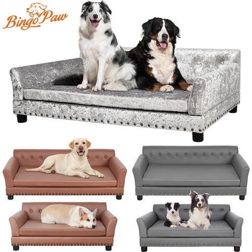 Extra large dog - sofa, couch