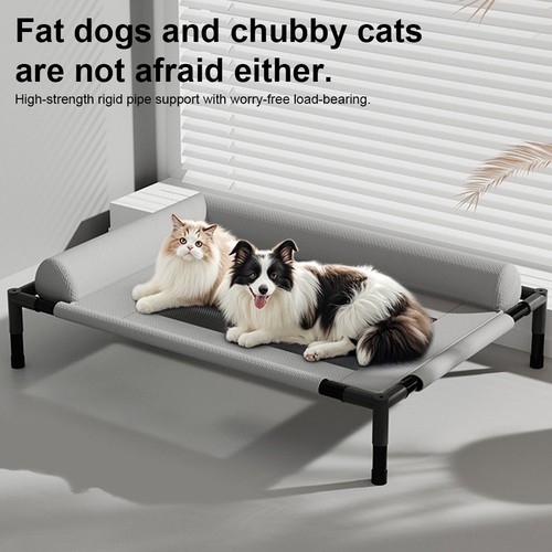 Large elevated dog - elevated, bed