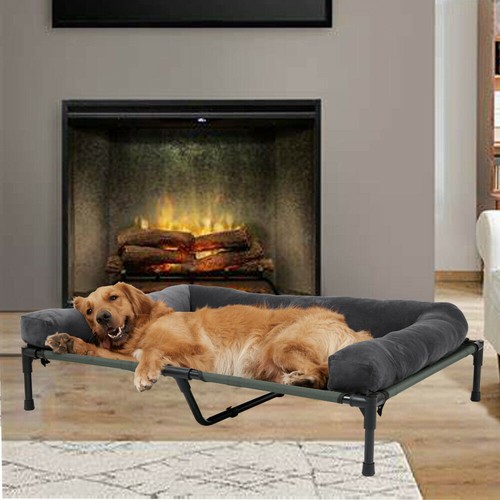 Large elevated pet - elevated, bed