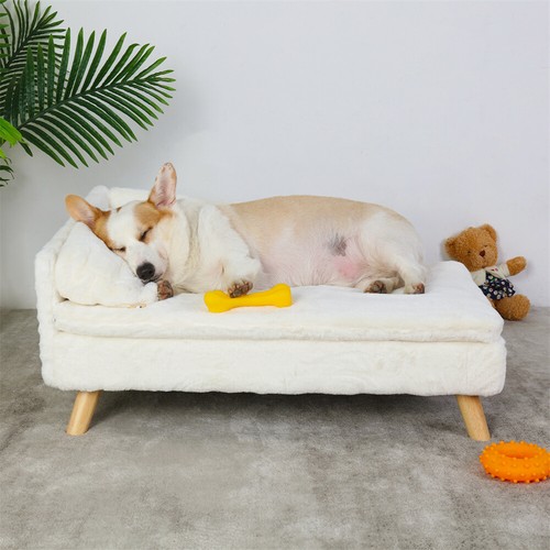 Elevated dog sofa bed - dog,