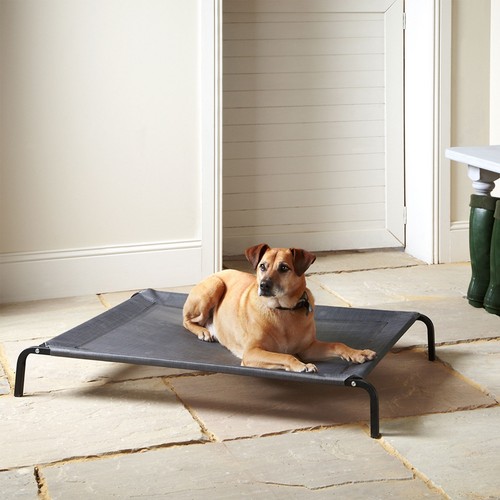 Bunty raised dog bed - bunty,