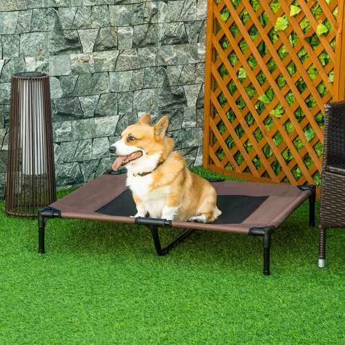 Pet bed raised cot dog - raised,