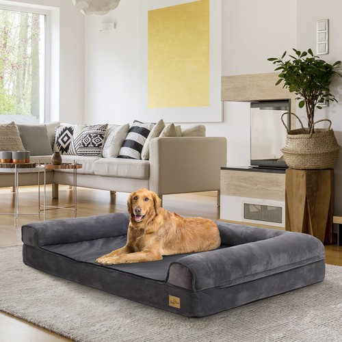 Heavy duty raised pet - heavy, dog