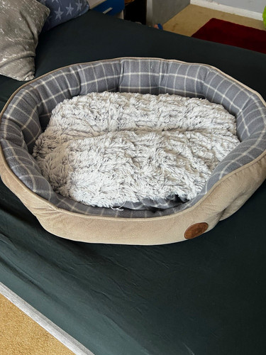 Grey beige oval dog - grey/beige,