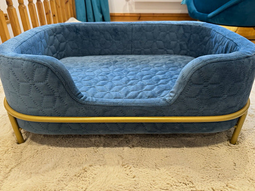 Pawsitive raised velvet dog - pawsitive,