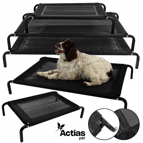 Elevated dog bed - elevated, mesh