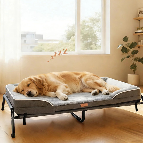 Raised dog bed large rrp - bed,