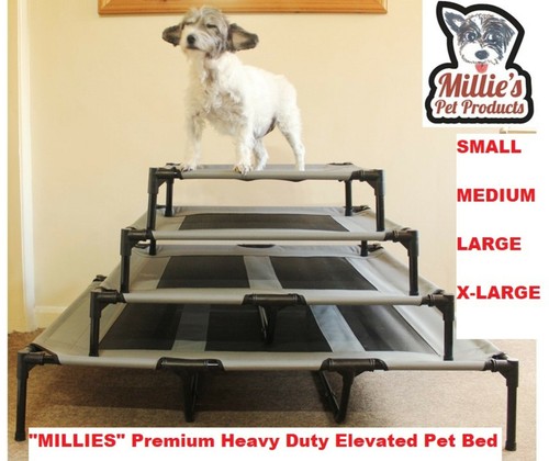 Millies elevated dog pet - elevated,